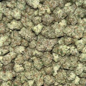 Peyote Cookies THCA Flower