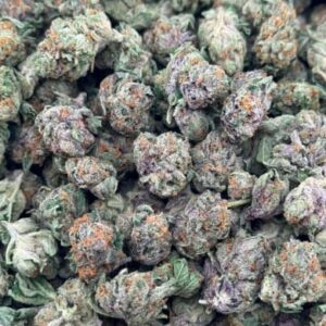 Purple Haze THCA Flower