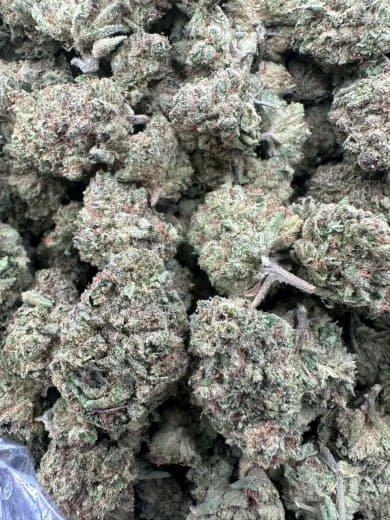 Purple Punch THC Flower