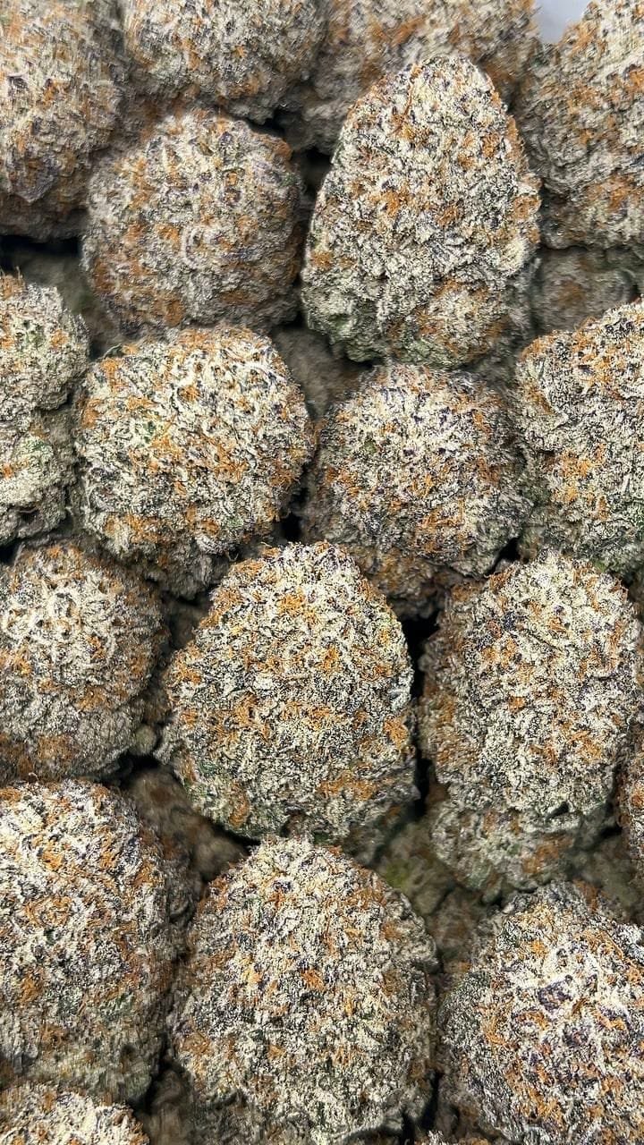 Sweet Tooth THCa Flower