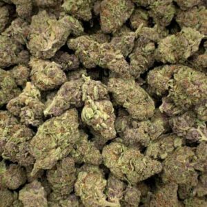 Amnesia Haze THCA Flower