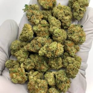 Kush Mints THCa Flower