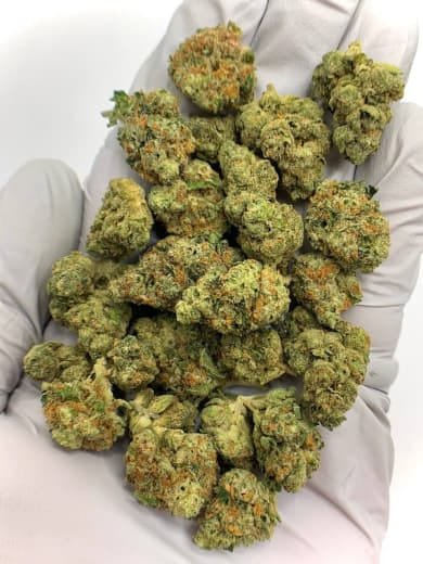Kush Mints THCa Flower