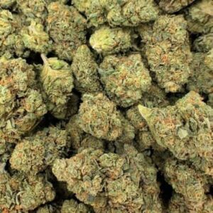 Citrus Sherbet THCa Flower