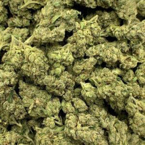 Apple Fritter THC Flower