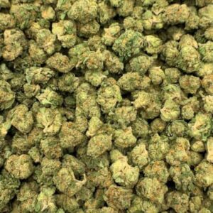 Peyote Cookies THCA Flower