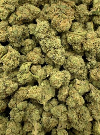 Gorilla Glue (GG4) THCa Flower