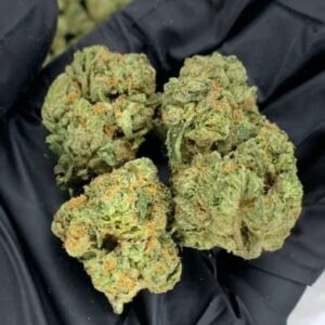 Granddaddy Purple THCa Flower