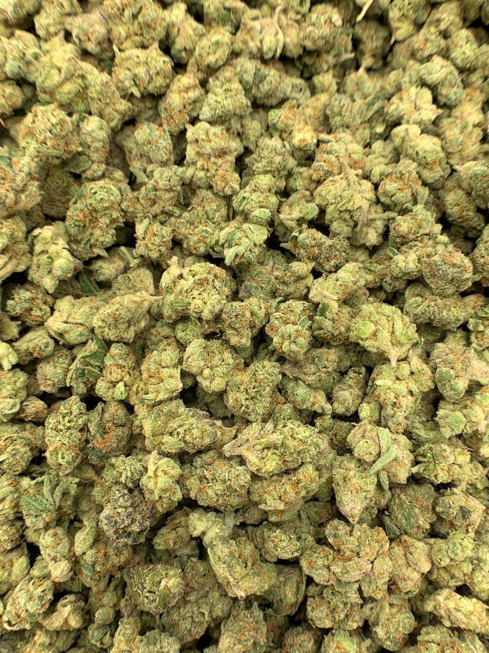 Purple Urkle THCA Flower