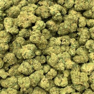 Chocolope THCA Flower