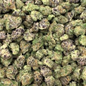 Zesty Orange THCa Flower