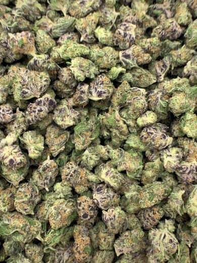 Zesty Orange THCa Flower