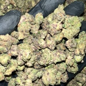Citrus Kush THCa Flower