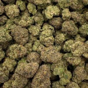 Blackberry Kush THCa Flower