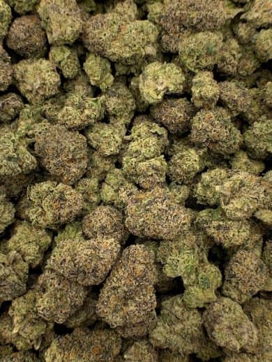 Blackberry Kush THCa Flower