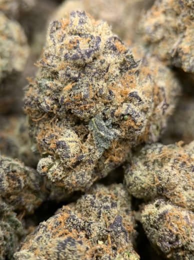 Grapefruit Dream THCa Flower